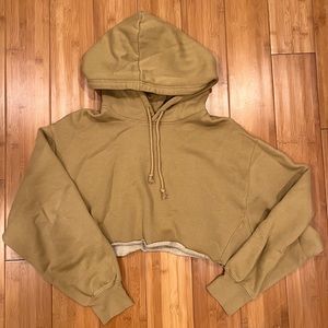 Aritzia TNA Boyfriend Cropped Hoodie Sweatshirt